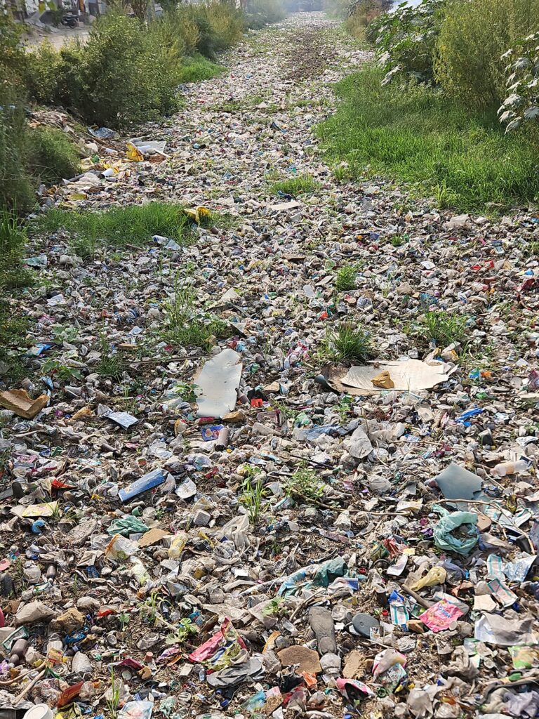 अब सवाल यह उठता है कि नगर पालिका कब नींद से जागेगी और इस गंभीर समस्या का स्थायी समाधान करेगी? या फिर नगरवासी इसी तरह गंदगी और बीमारी के साए में जीने को मजबूर रहेंगे?
